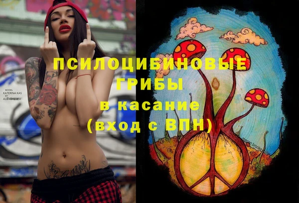 метадон Верея