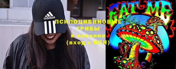 метадон Верея