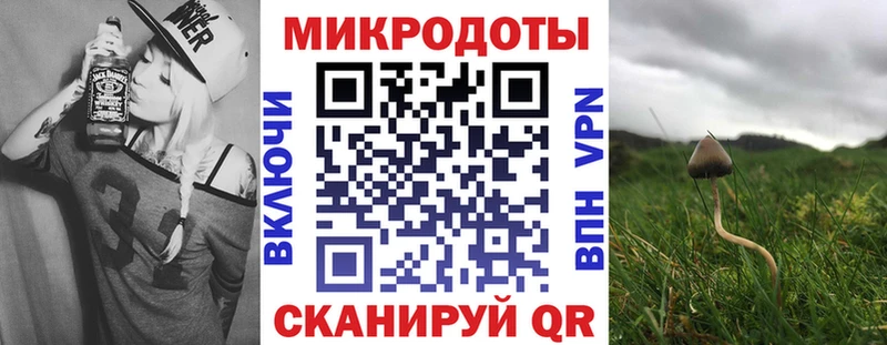Галлюциногенные грибы GOLDEN TEACHER  купить   кракен зеркало  Ковров 